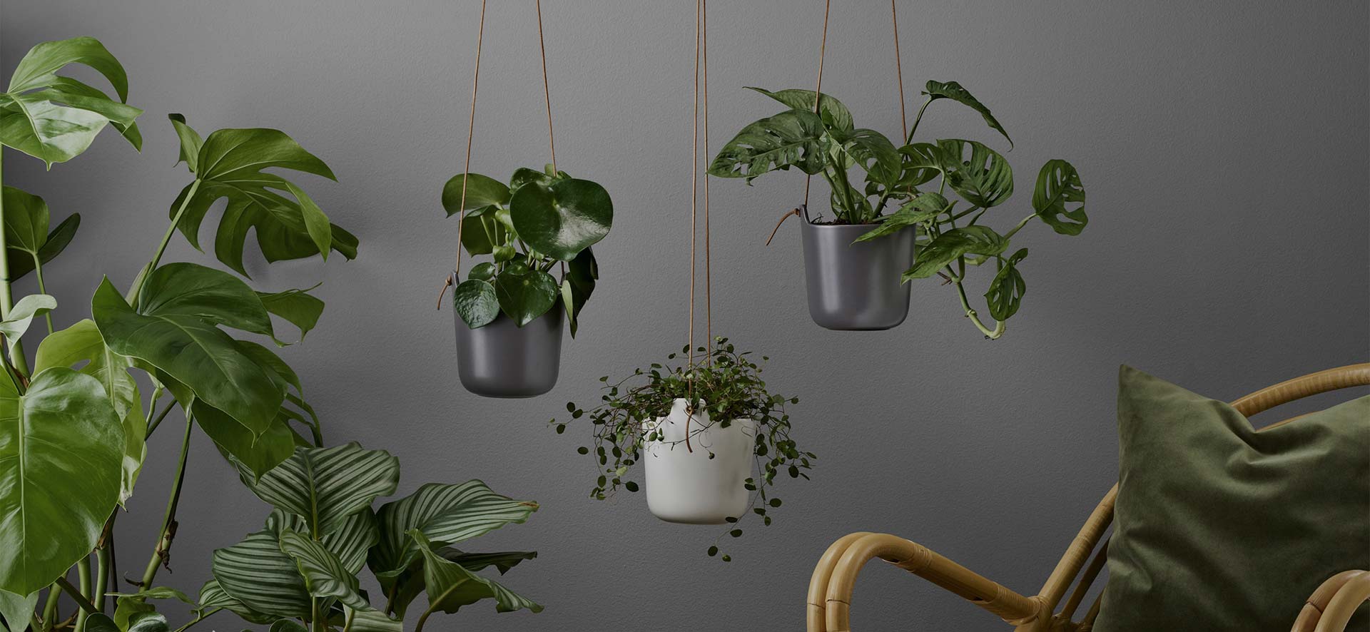 Flower Pot Supplier