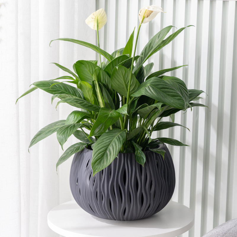 Flower pot -01 (flower arrangement)