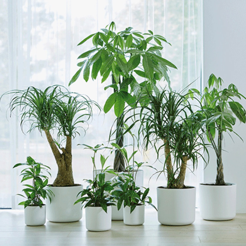 Flower pot-03（Different size）