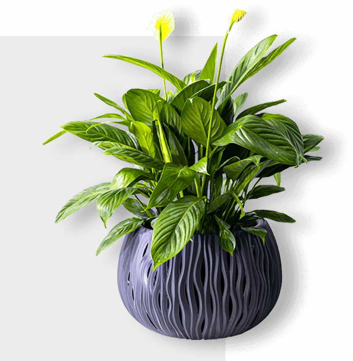 Flower pot -01 (flower arrangement)